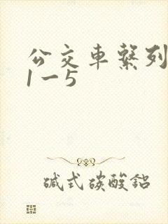 公交车系列合集1一5