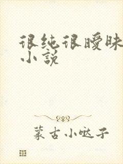 很纯很暧昧有声小说