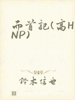 面首记(高H NP)