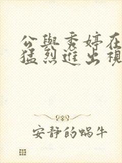 公与秀婷在厨房猛烈进出视频