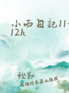 小雨日记11-12h