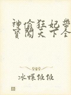 神偷狂妃带着宝宝闯天下全文免费阅读