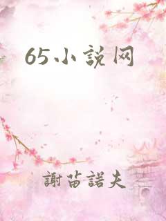 65小说网
