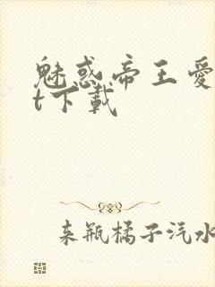 魅惑帝王爱txt下载