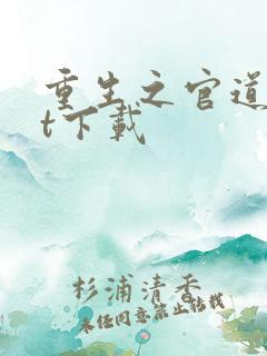 重生之官道txt下载