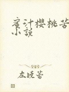 蜜汁樱桃苦咖啡小说