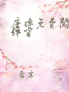 唐砖免费阅读无弹窗