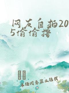 网友自拍2015偷偷撸