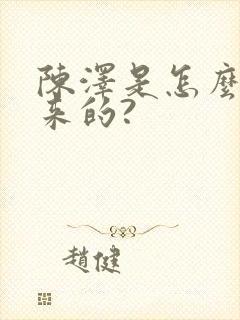 陈泽是怎么火起来的?