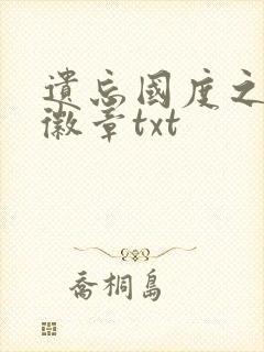 遗忘国度之神秘徽章txt