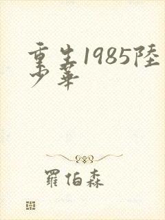重生1985陆少华