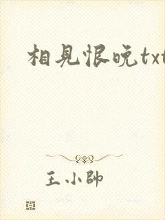 相见恨晚txt
