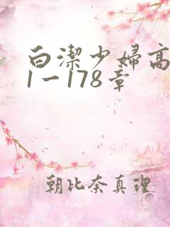 白洁少妇高义第1一178章