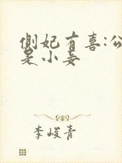 侧妃有喜:公主是小妾