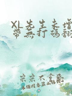 XL先生未增删带无打码翻译