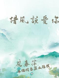 借风说爱你