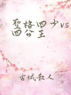 圣格四少vs 四公主