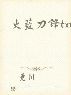 火蓝刀锋txt