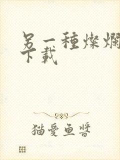 另一种灿烂生活下载