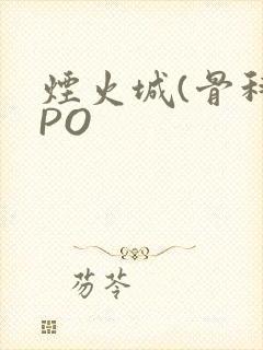 烟火城(骨科)PO