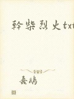 干柴烈火txt