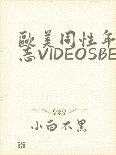 欧美同性年轻同志VIDEOSBEST