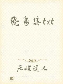 飞鸟集txt