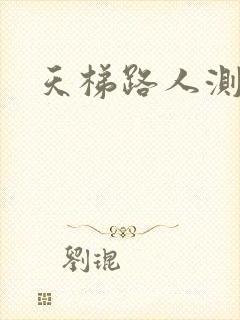 天梯路人测试器