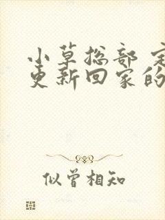 小草总部 定期更新回家的路