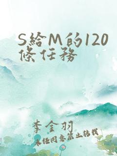 S给M的120条任务