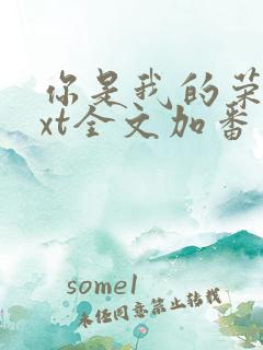 你是我的荣耀txt全文加番外