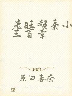 老旺超秦小雨第三百章