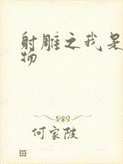 射雕之我是小人物