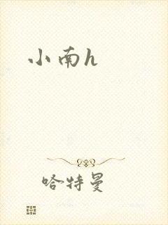 小南h