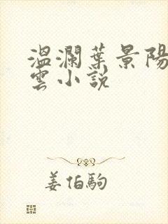 温澜叶景阳温云云小说