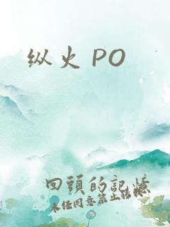 纵火 PO