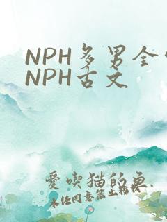 NPH多男全处NPH古文