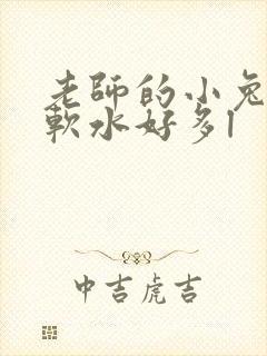 老师的小兔子好软水好多l