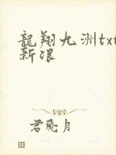 龙翔九洲txt新浪