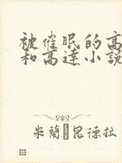 被催眠的高小柔和高达小说