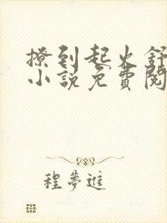 撩到起火舒漾的小说免费阅读全文