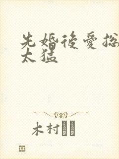 先婚后爱总裁别太猛