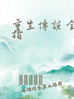 重生传说 金手指