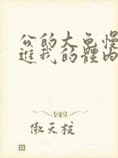 公的大龟慢慢挺进我的体内