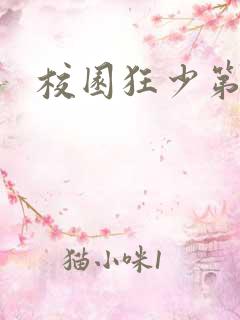 校园狂少第二部