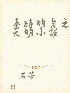 秦时明月之夜尽天明小说