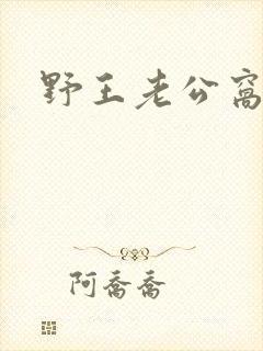 野王老公窝