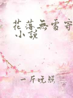 花落无处寄相思 小说