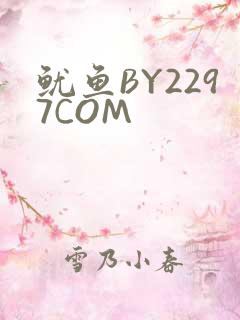 鱿鱼BY2297COM