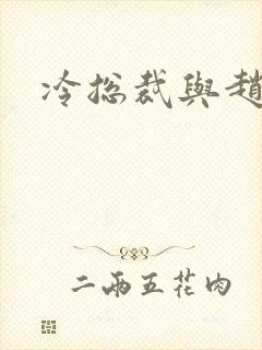 冷总裁与赵大牌